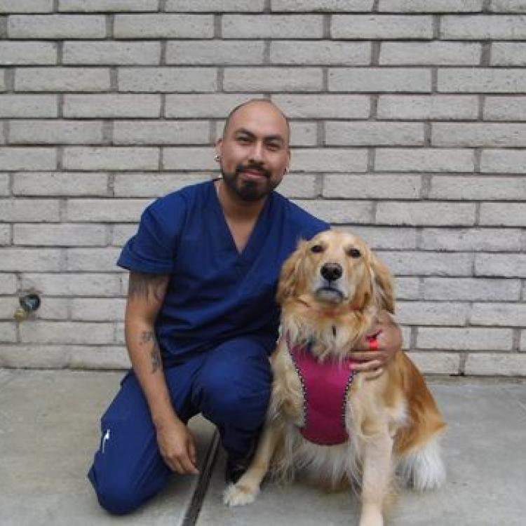 Culver Palms Animal Hospital Los Angeles, CA